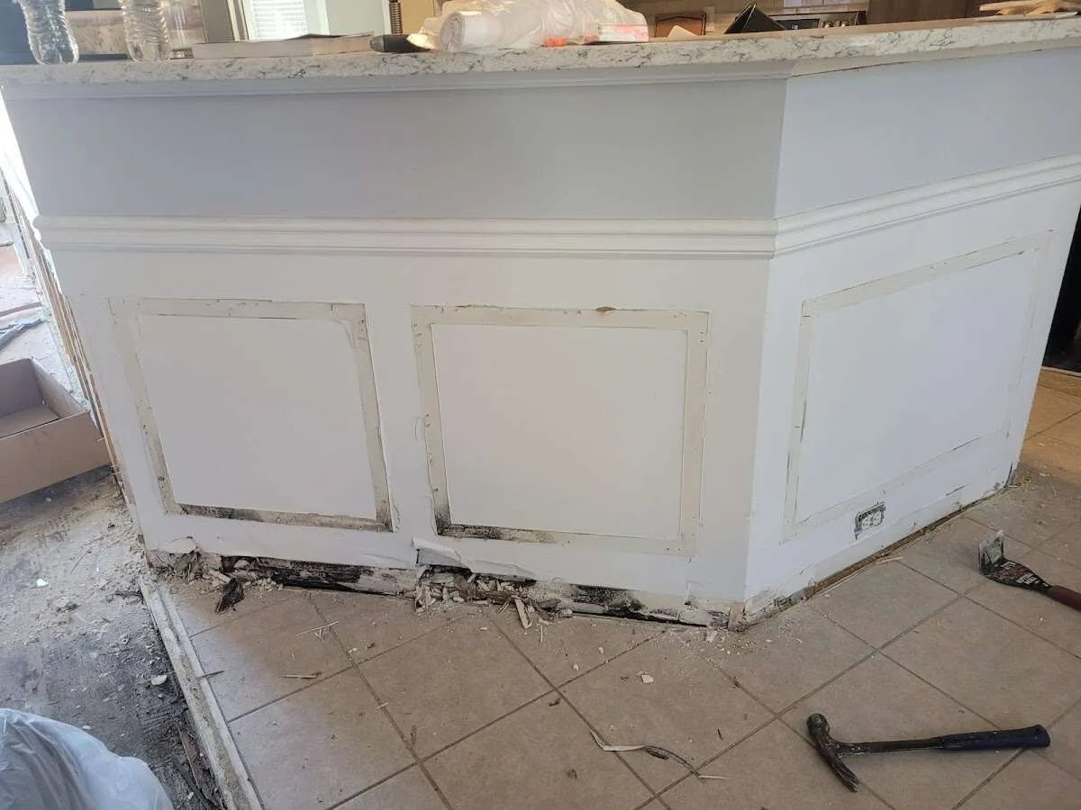 Water damage and mold on kitchen during Mold Inspection & Testing in Beverly Hills